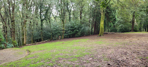 Gilwood Scout Campsite Gallery - United Kingdom