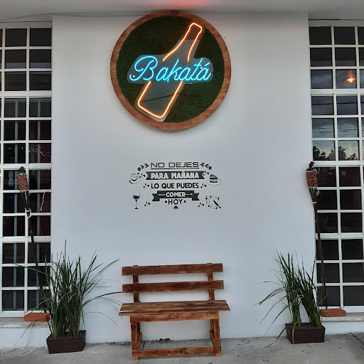 Bakatá - Visual