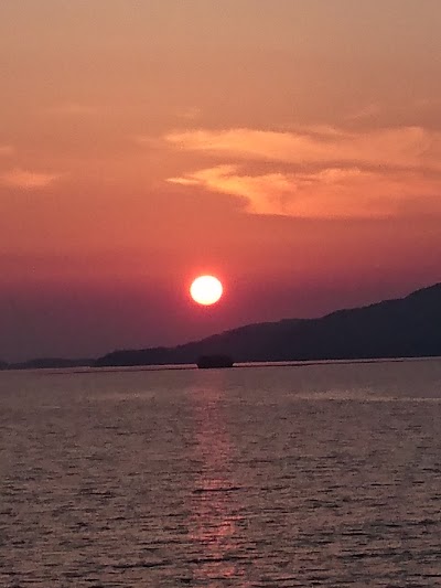 Photos of かんぱにお