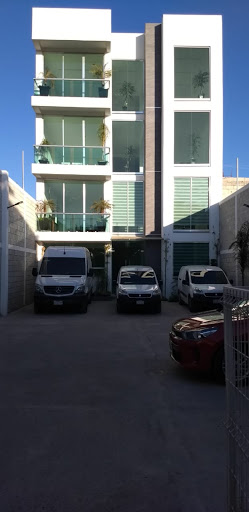 Nicc Sport - Thumbnail