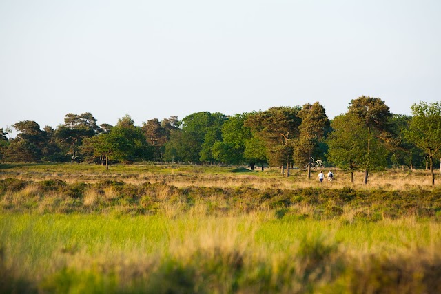 Molecaten Park Landgoed Ginkelduin
