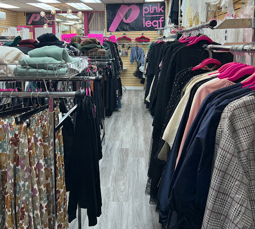 PINK LEAF - Visual