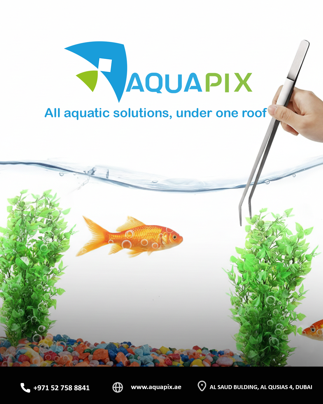 Aquapix - صورة 3