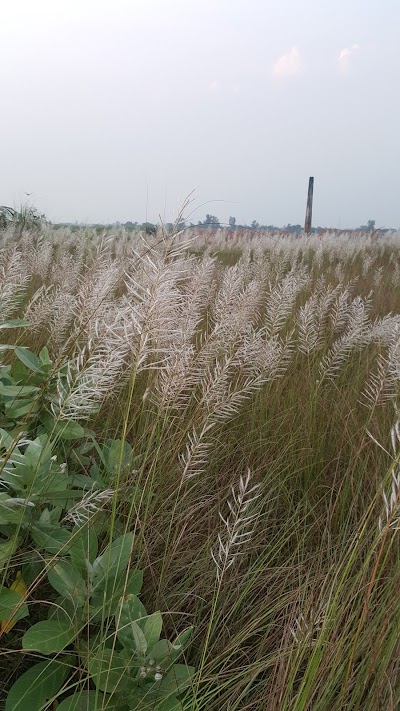 Photos of D C Project, Sirajdikhan