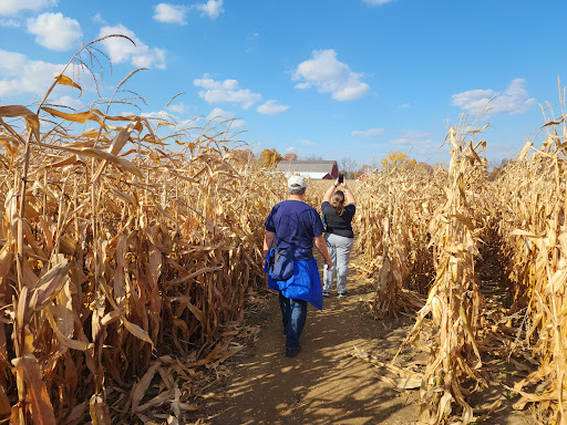 The Blast Corn Maze - Thumbnail