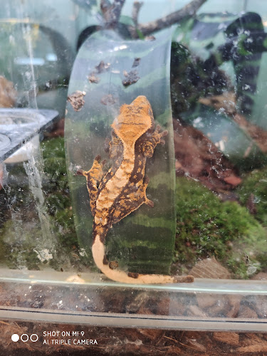 Numer telefony do ZooPasja