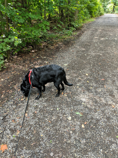 Maize Memorial Dog Park, llc - Thumbnail