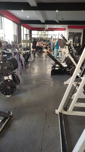 CAFU Gym Premium