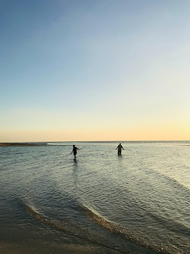 Lee Point Shorebird statues - Thumbnail