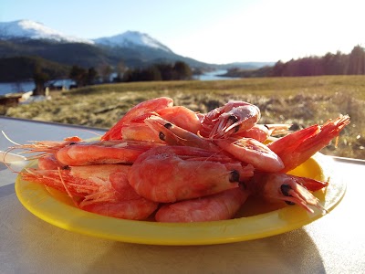 Photos of Vals&oslash;ya Fjordcamping