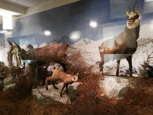 Museo Naturalistico del Fiume Po - Thumbnail