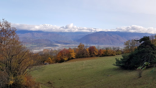 Espace Naturel Sensible de la Tourbière du Peuil - Thumbnail