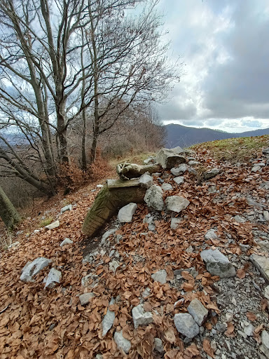 Schignano - Machero - Visual