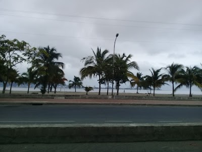 Photos of Hotel Bamboo