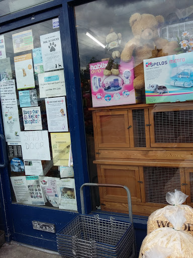 Pet Corner - Visual