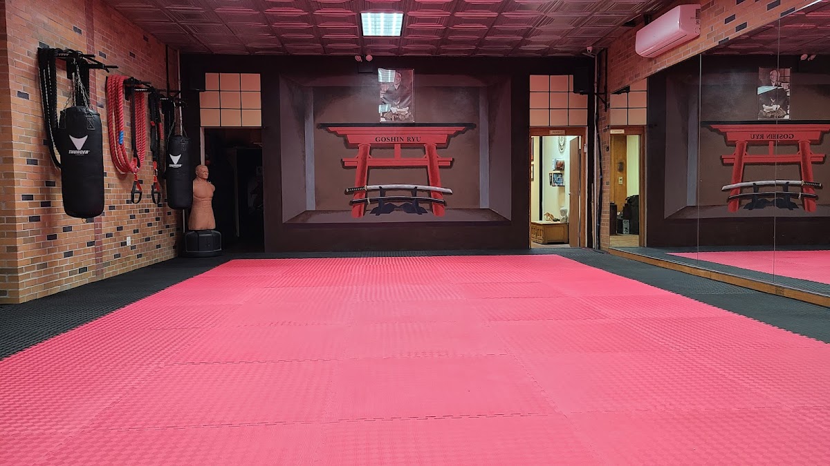 Goshin Ryu Martial Arts & Fitness boxing gym in Brooklyn, New York, United States - training facility photo 2