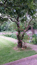 Photo n°9 de Bayeux-Ranchy à Ranchy (Chambre d'hôtes)