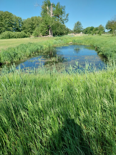 Geronsee - Thumbnail