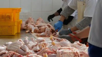 Photos of Al Rahi Meat Supply Factory LLC