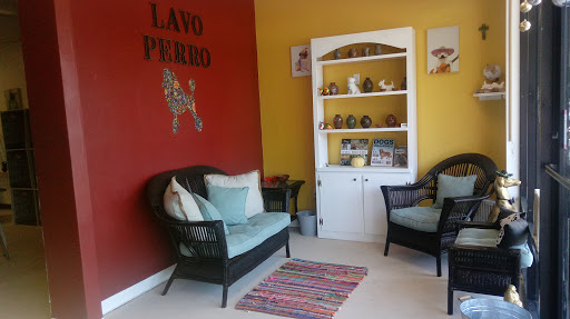Lavo perro - Visual