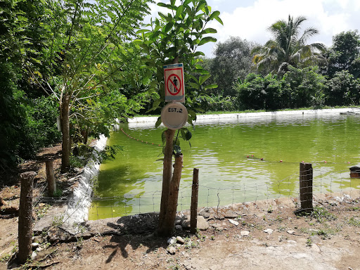 Centro Ecoturístico Xancaltitla - Thumbnail