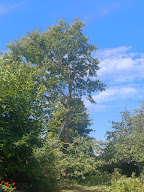 Jardinier élagueur, A.Meinhard à Vendenheim