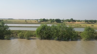 Photos of Rangabali Thana