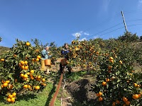 鷲が峰グリーンファーム岩富園
