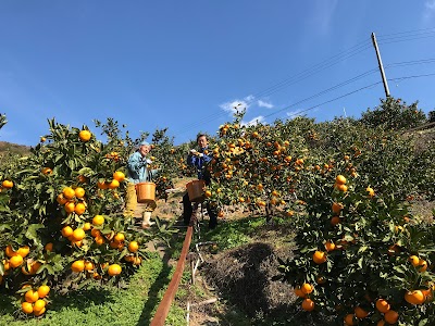 鷲が峰グリーンファーム岩富園