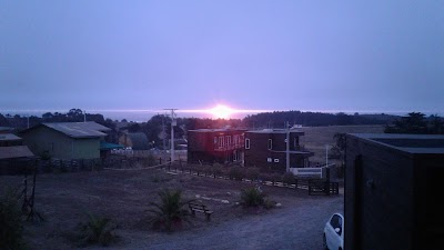 Photos of Waiwen