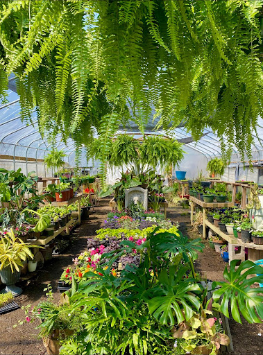 Gremard Gardens - Thumbnail