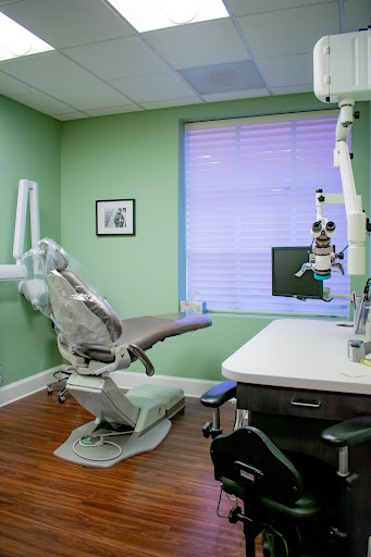 Marat Tselnik, DDS Gallery - United States