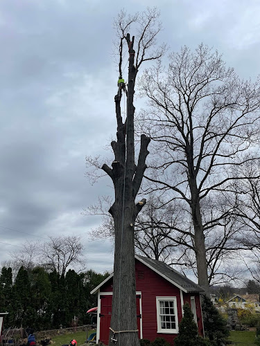 Ken's Tree & Landscape LLC