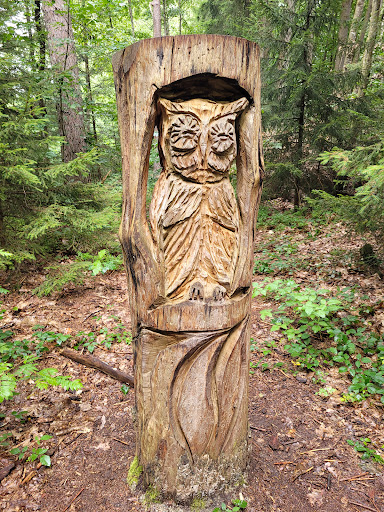 Zauberwald Fichtenau