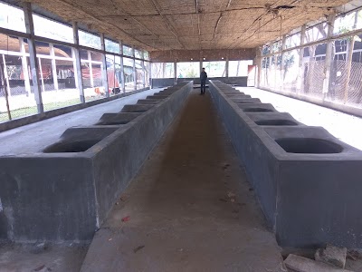 Photos of The Way Trust Mission
