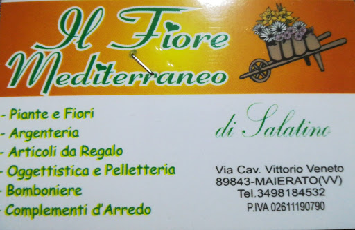 Il fiore mediterraneo - Thumbnail