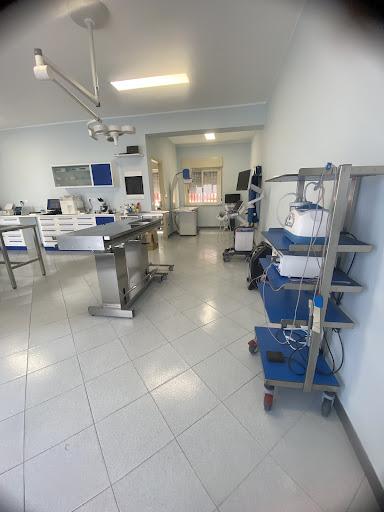 Dott. Santi Coppolino Medico Veterinario - Thumbnail