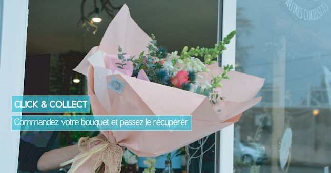 fleursaromesetbotaniques.fr