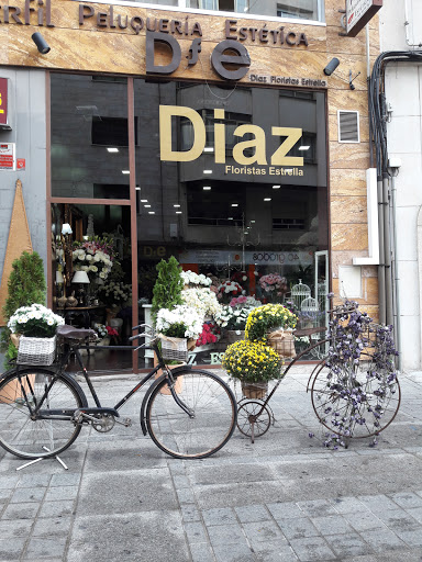 Díaz Floristas Estrella S.L.U - Spain