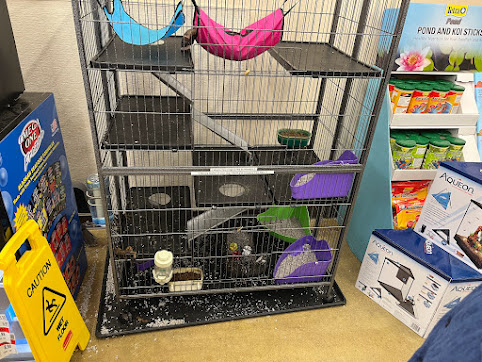 Pet Supplies Plus Gurnee - Thumbnail