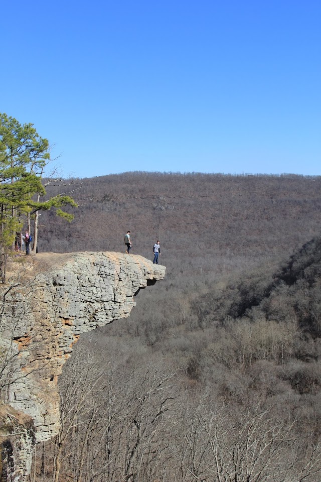 Whitaker Point Trailhead