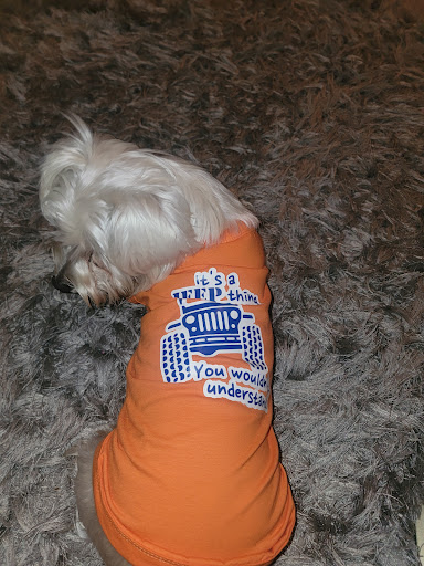 Mutt butt LLC Gallery - United States