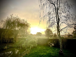 Photo n°18 de GAEC DE LA VALLÉE DES IFS à Montsûrs (Élevage laitier)