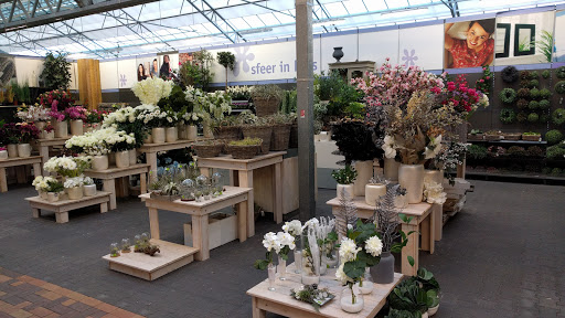 Intratuin Lelystad - Visual