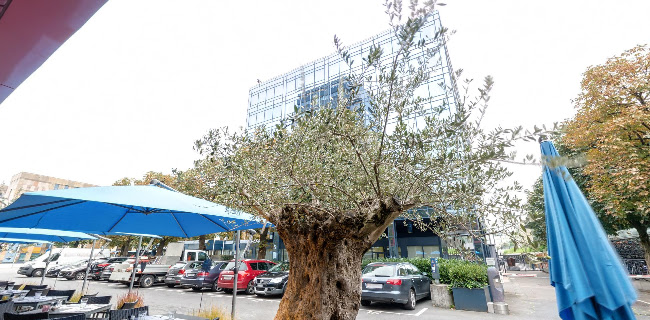 Pier 41 Öffnungszeiten