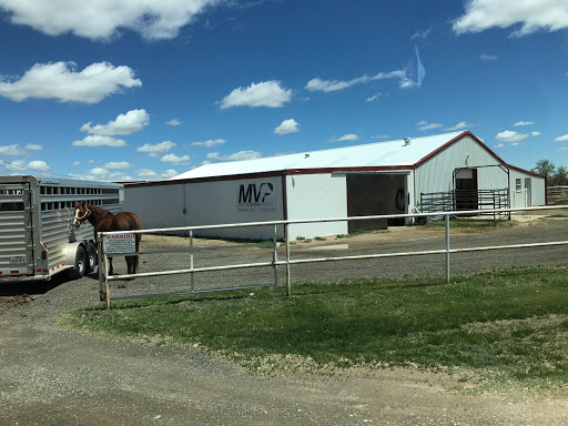 Mobile Veterinary Practice - Visual