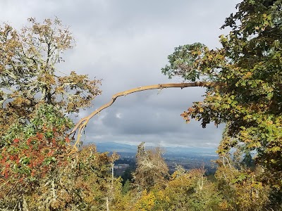 Wild Iris Ridge Park