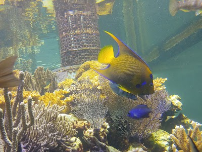 St. Lucie County Aquarium