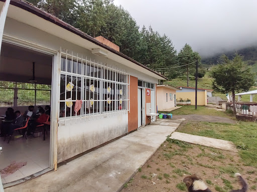 ESCUELA PRIMARIA DEL BARRIO TEPELCA Gallery - Mexico