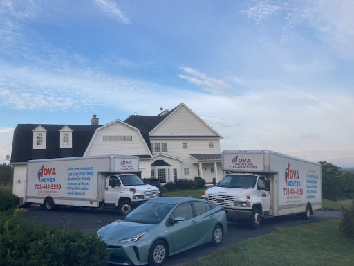 Nova Movers - Visual
